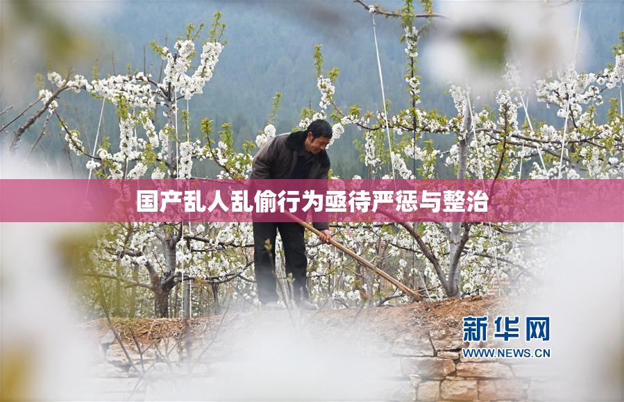 国产乱人乱偷行为亟待严惩与整治