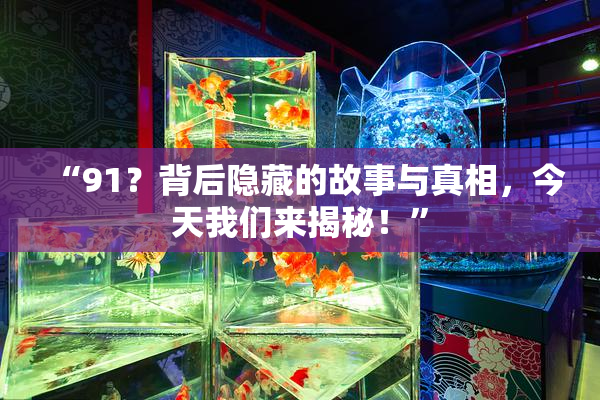 “91？背后隐藏的故事与真相，今天我们来揭秘！”