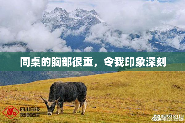 同桌的胸部很重，令我印象深刻