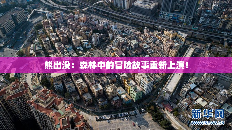 熊出没：森林中的冒险故事重新上演！