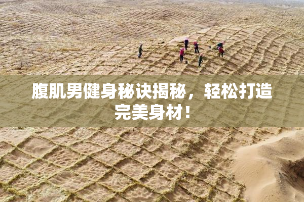 腹肌男健身秘诀揭秘，轻松打造完美身材！