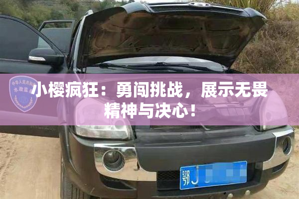 小樱疯狂：勇闯挑战，展示无畏精神与决心！
