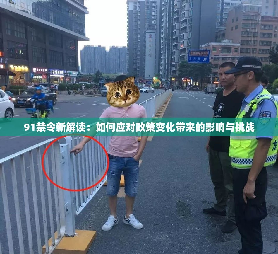 91禁令新解读：如何应对政策变化带来的影响与挑战