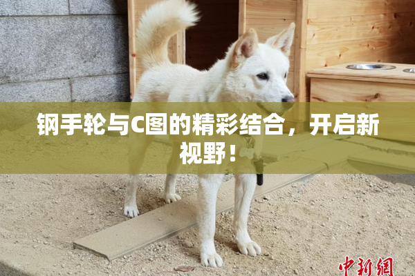钢手轮与C图的精彩结合，开启新视野！