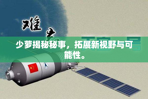 少萝揭秘秘事，拓展新视野与可能性。