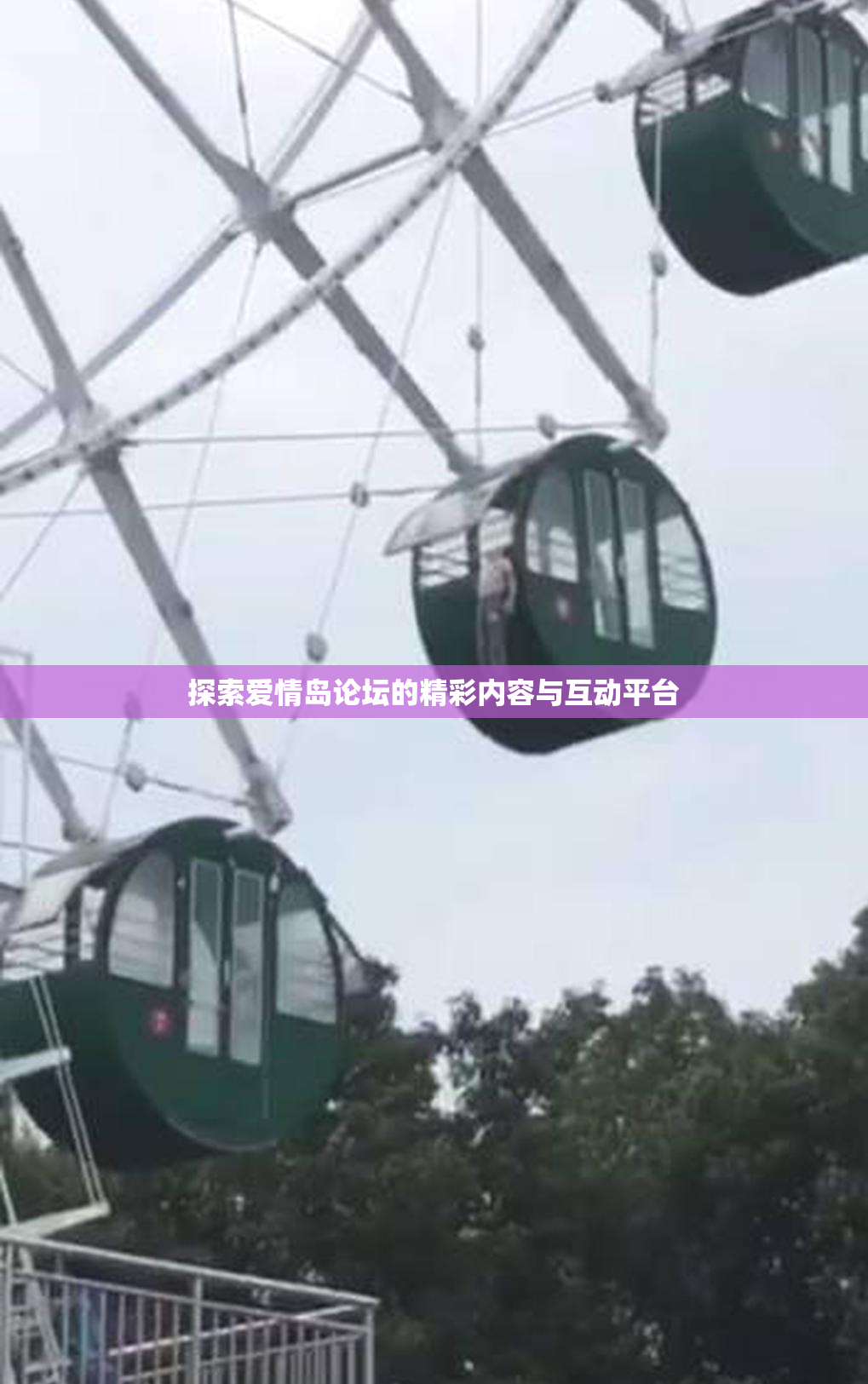探索爱情岛论坛的精彩内容与互动平台