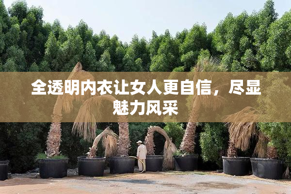 全透明内衣让女人更自信，尽显魅力风采