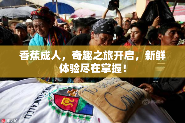 香蕉成人，奇趣之旅开启，新鲜体验尽在掌握！