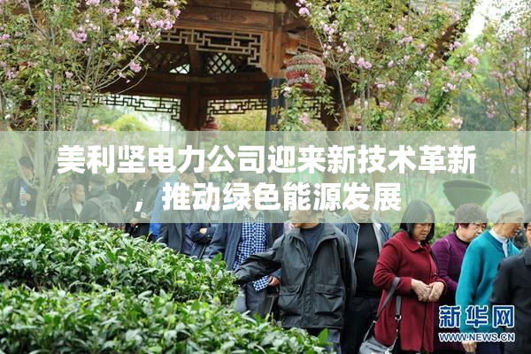 美利坚电力公司迎来新技术革新，推动绿色能源发展
