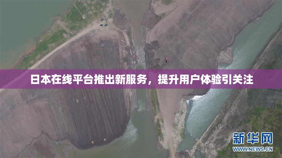 日本在线平台推出新服务，提升用户体验引关注