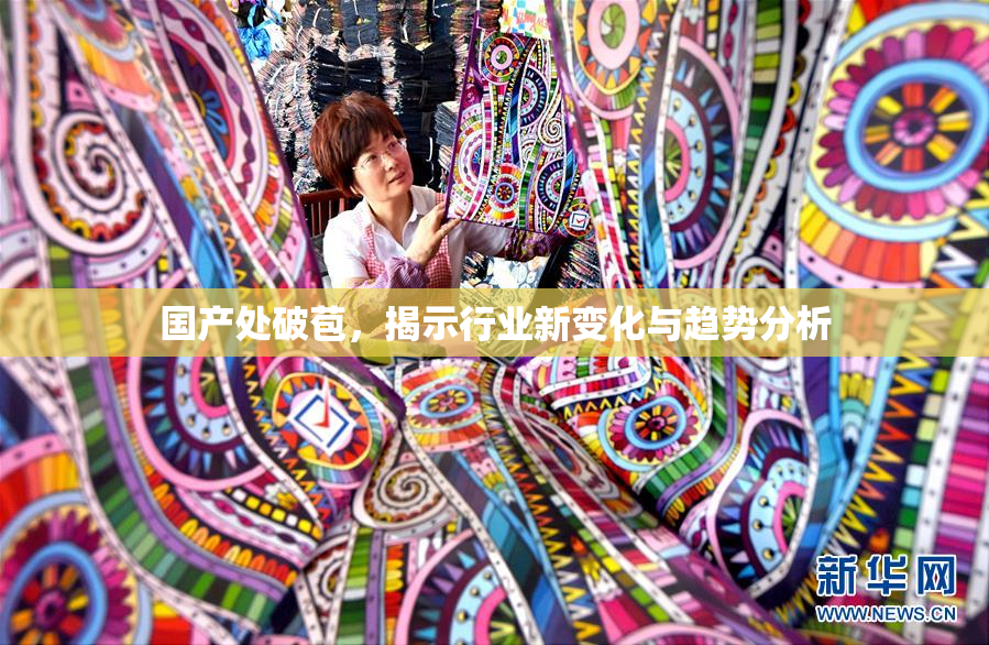 国产处破苞，揭示行业新变化与趋势分析