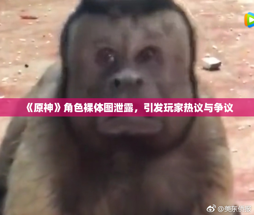 《原神》角色裸体图泄露，引发玩家热议与争议