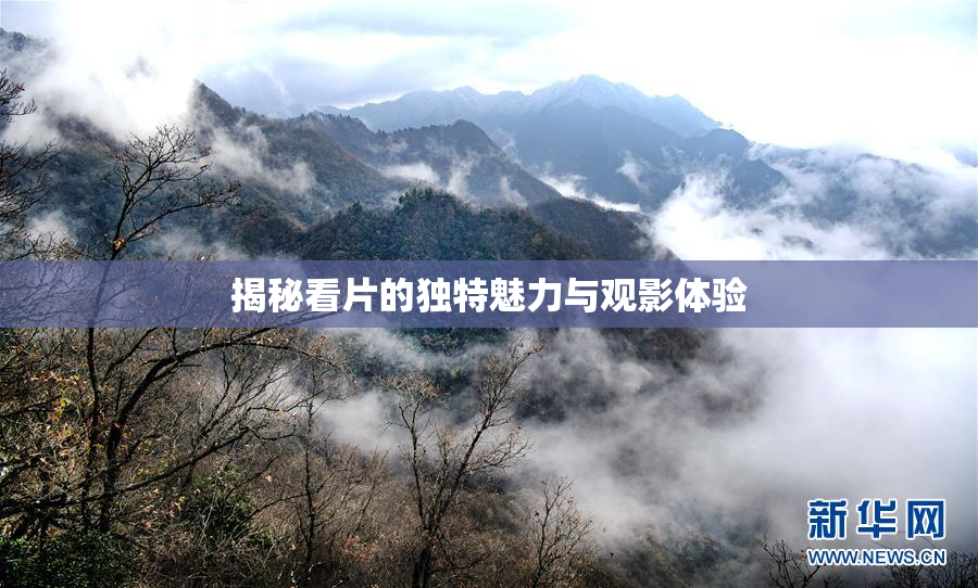 揭秘看片的独特魅力与观影体验