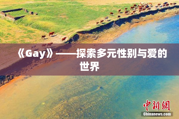 《Gay》——探索多元性别与爱的世界