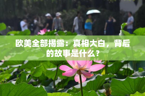 欧美全部揭露：真相大白，背后的故事是什么？