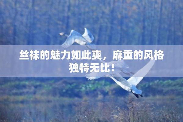 丝袜的魅力如此爽，麻重的风格独特无比！