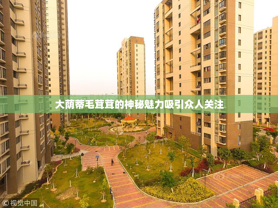 大荫蒂毛茸茸的神秘魅力吸引众人关注