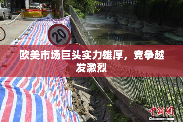 欧美市场巨头实力雄厚，竞争越发激烈