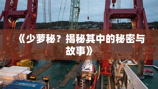《少萝秘？揭秘其中的秘密与故事》