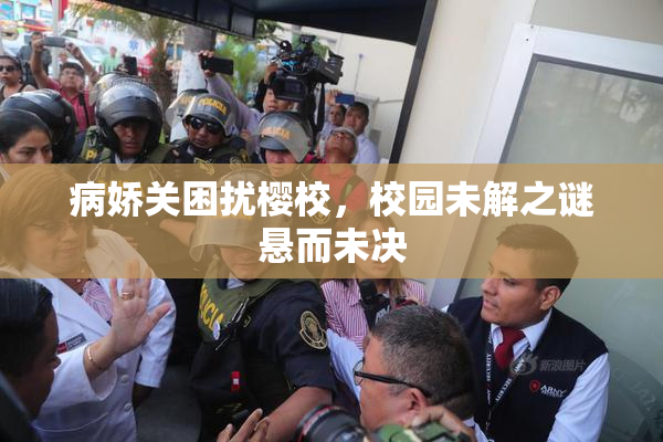 病娇关困扰樱校，校园未解之谜悬而未决