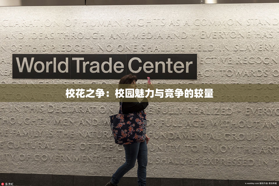 校花之争：校园魅力与竞争的较量