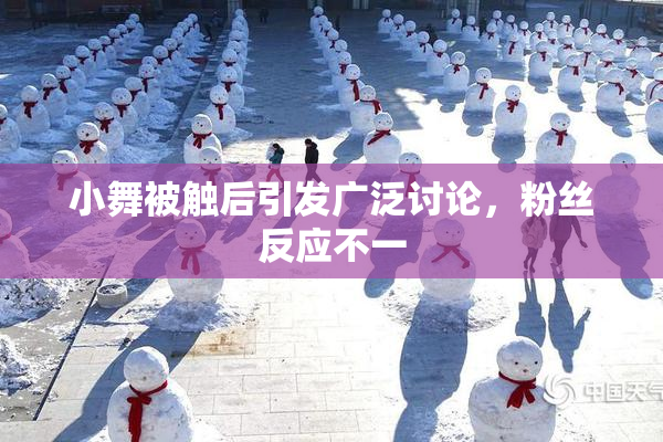 小舞被触后引发广泛讨论，粉丝反应不一