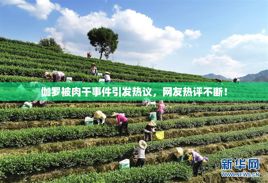 伽罗被肉干事件引发热议，网友热评不断！