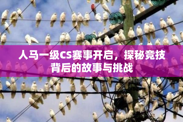 人马一级CS赛事开启，探秘竞技背后的故事与挑战