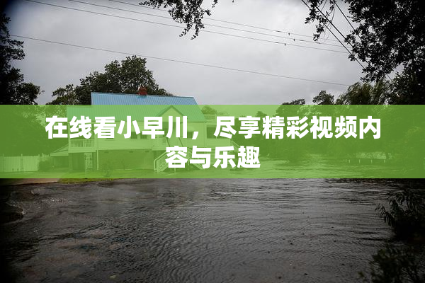 在线看小早川，尽享精彩视频内容与乐趣