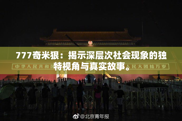 777奇米狠：揭示深层次社会现象的独特视角与真实故事。