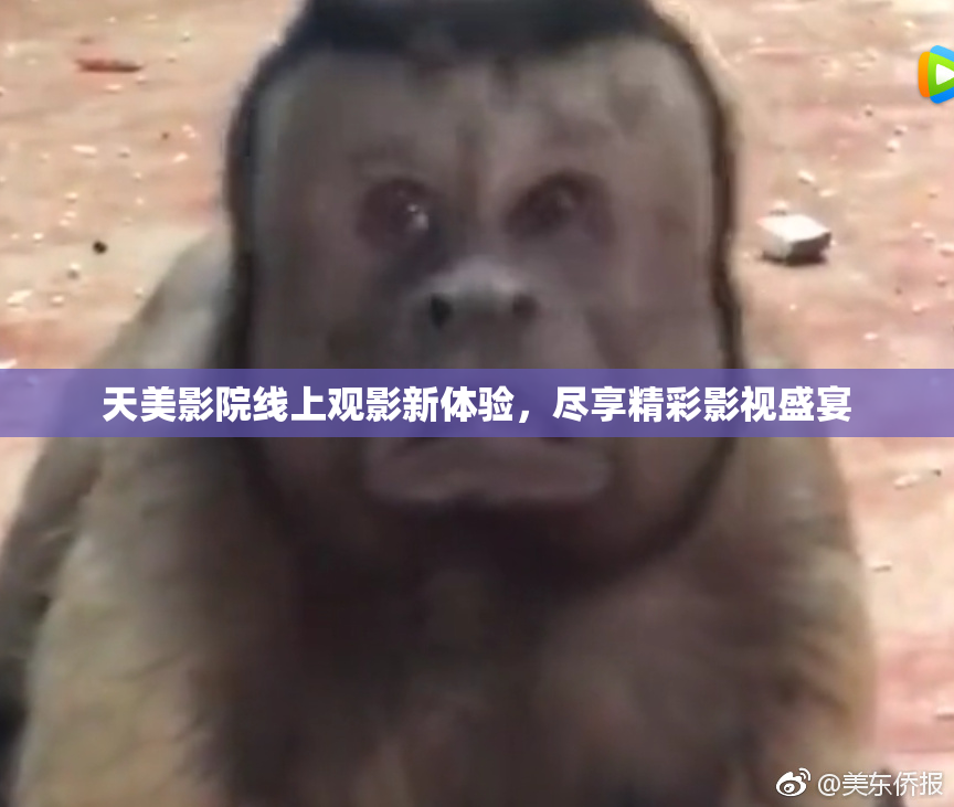 天美影院线上观影新体验，尽享精彩影视盛宴