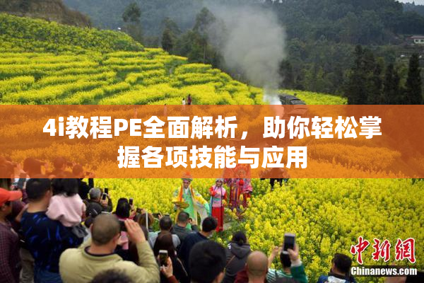4i教程PE全面解析，助你轻松掌握各项技能与应用