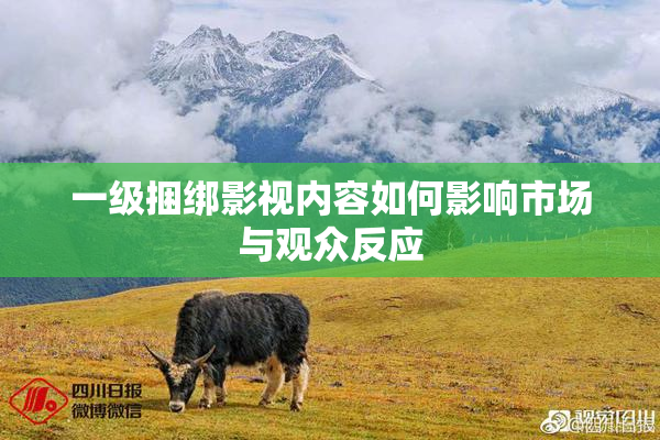 一级捆绑影视内容如何影响市场与观众反应