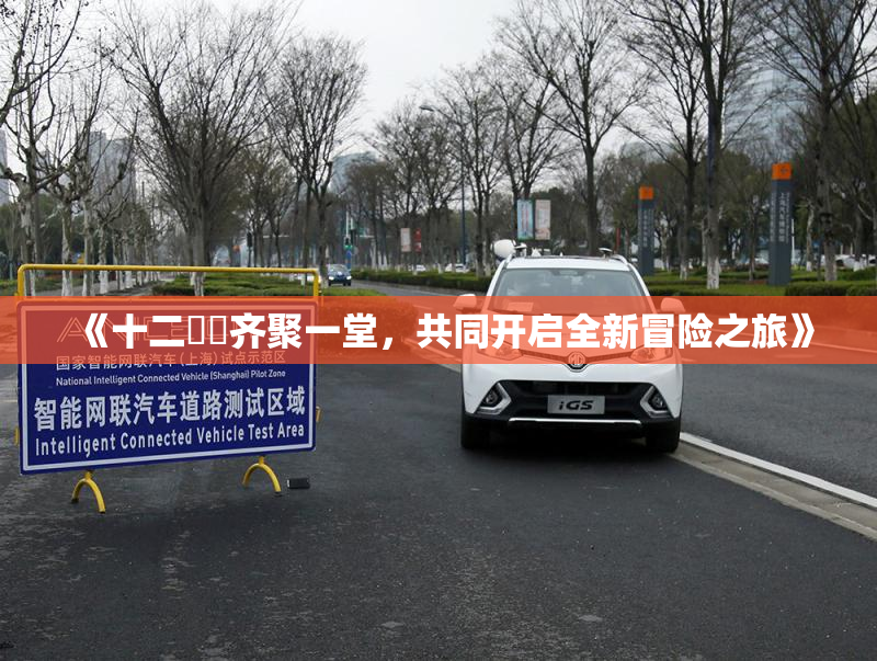 《十二妺妺齐聚一堂，共同开启全新冒险之旅》