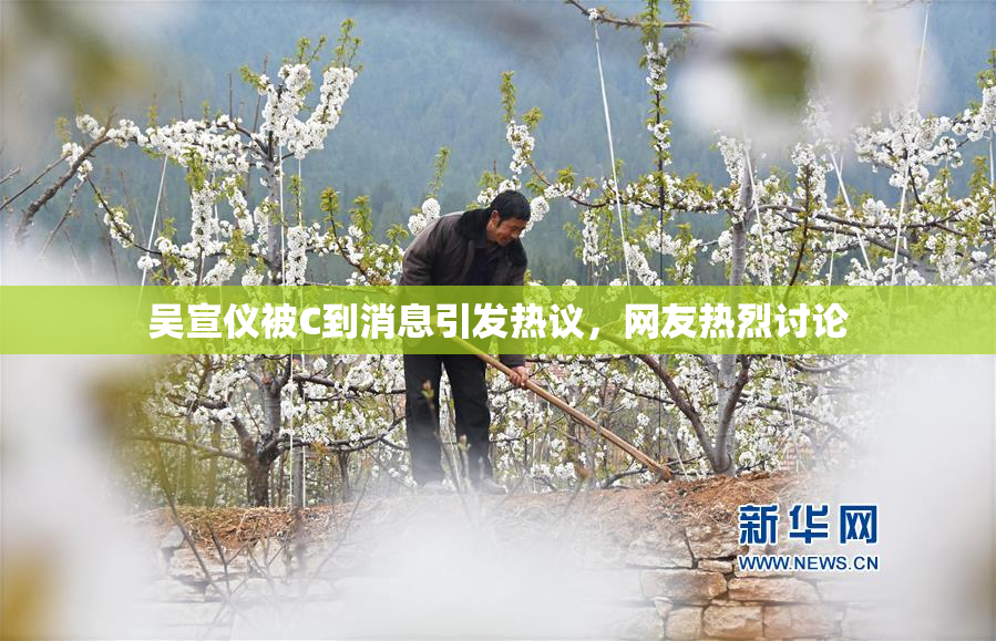 吴宣仪被C到消息引发热议，网友热烈讨论