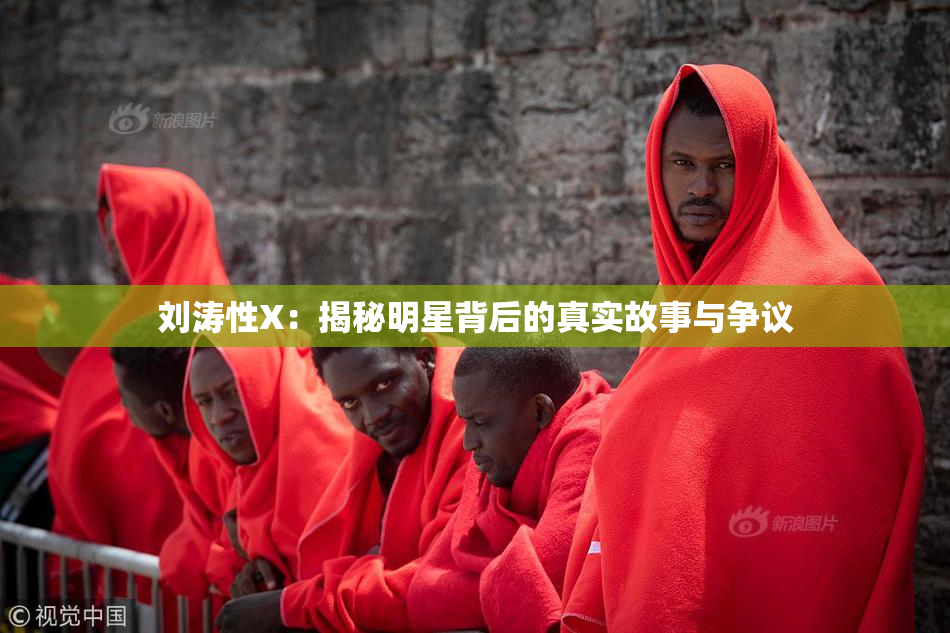 刘涛性X：揭秘明星背后的真实故事与争议