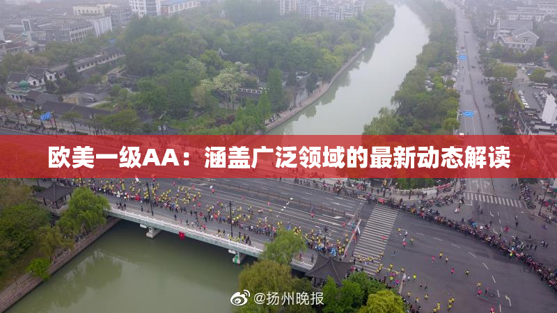 欧美一级AA：涵盖广泛领域的最新动态解读