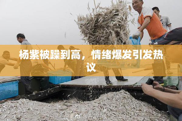 杨紫被躁到高，情绪爆发引发热议