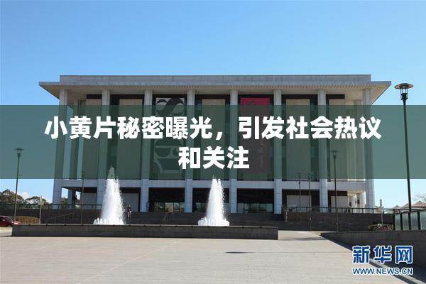 小黄片秘密曝光，引发社会热议和关注