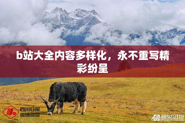 b站大全内容多样化，永不重写精彩纷呈