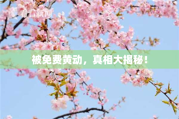 被免费黄动，真相大揭秘！
