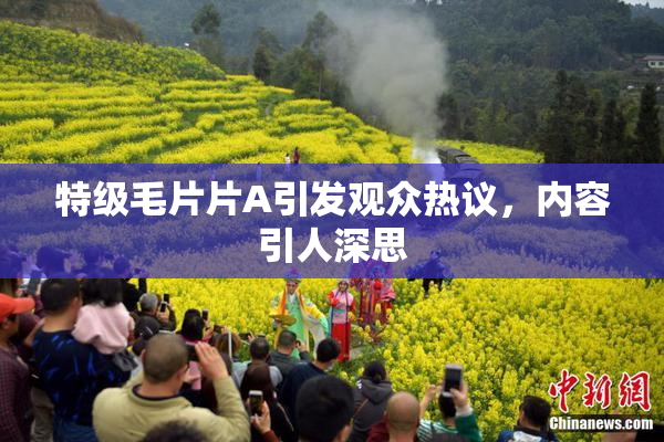 特级毛片片A引发观众热议，内容引人深思