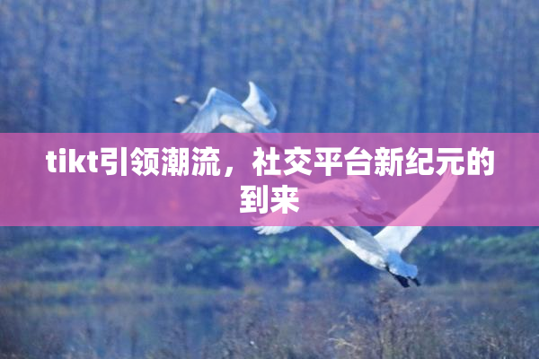 tikt引领潮流，社交平台新纪元的到来