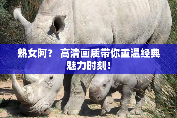 熟女阿？ 高清画质带你重温经典魅力时刻！