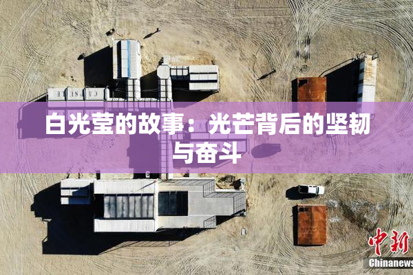 白光莹的故事：光芒背后的坚韧与奋斗