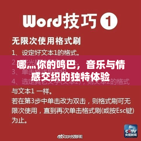哪灬你的鸣巴，音乐与情感交织的独特体验