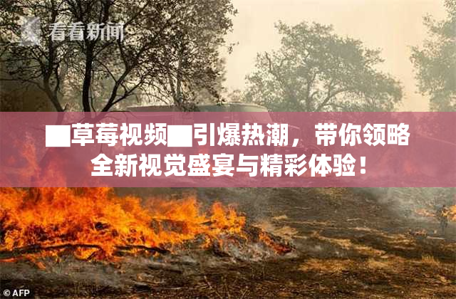 ▇草莓视频▇引爆热潮，带你领略全新视觉盛宴与精彩体验！