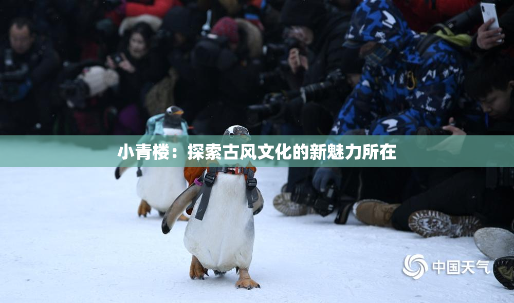 小青楼：探索古风文化的新魅力所在