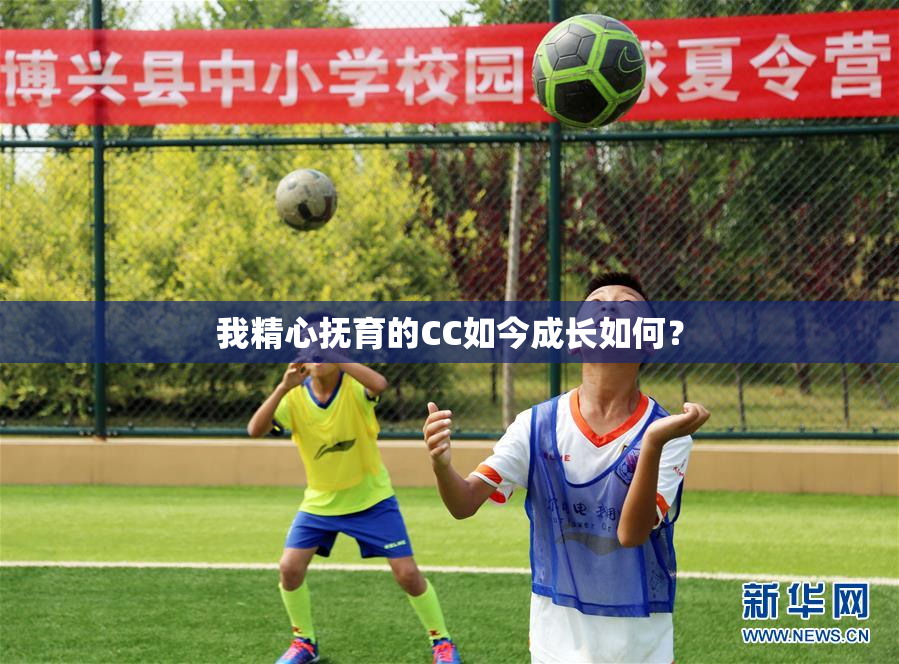 我精心抚育的CC如今成长如何？