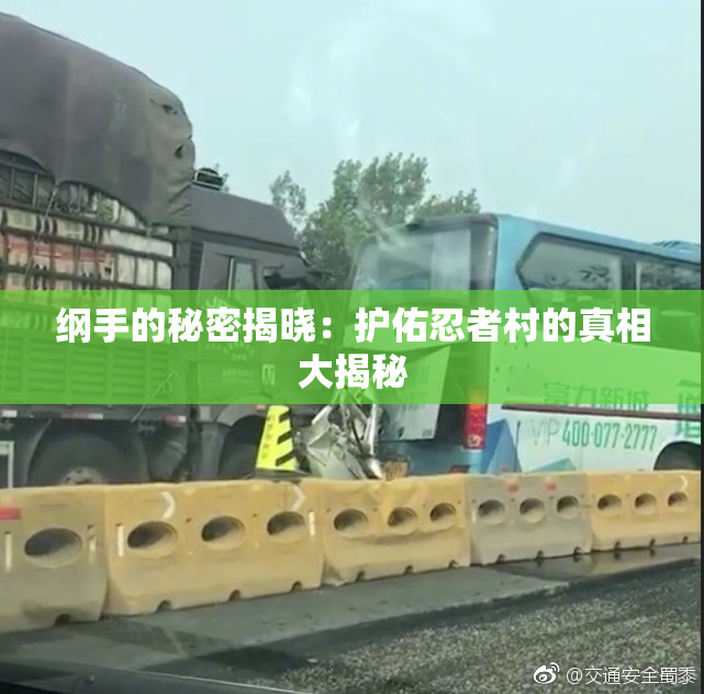 纲手的秘密揭晓：护佑忍者村的真相大揭秘